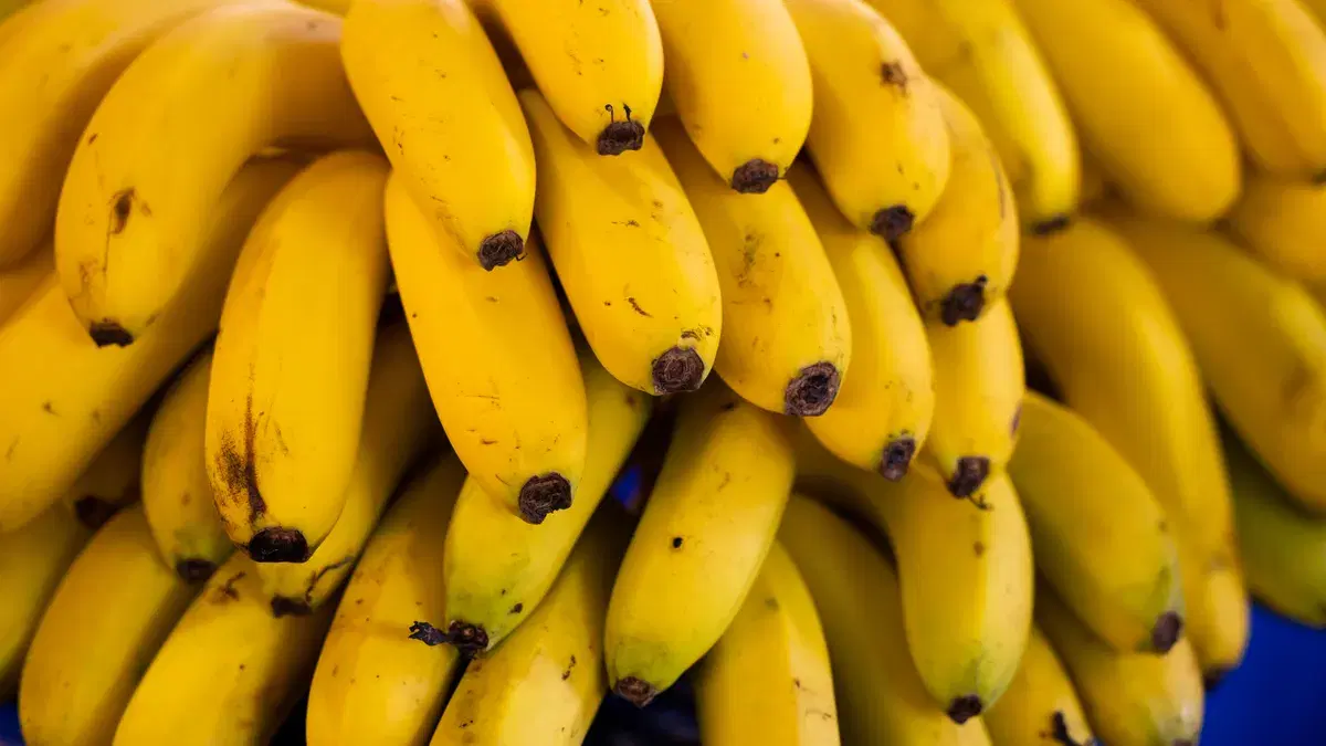 Cluster of bright yellow bananas stacked in a market, showcasing freshness and ripeness.