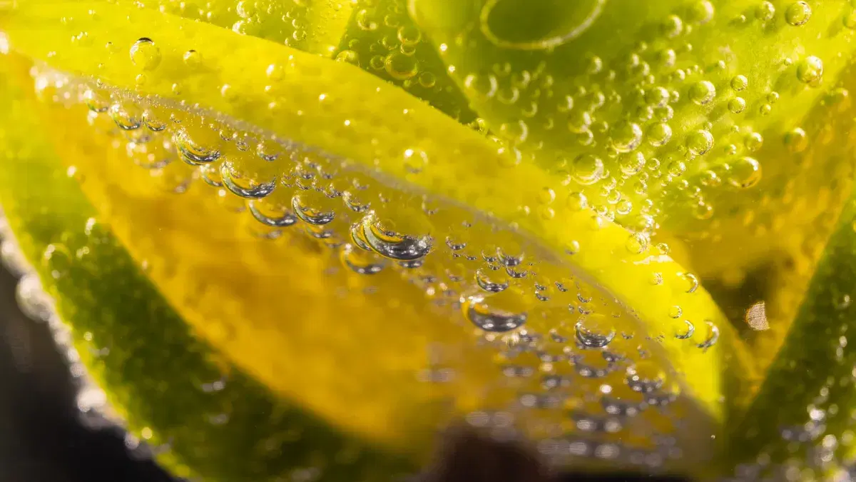 Close-up of lemon and lime slices with bubbles in a refreshing soda drink.