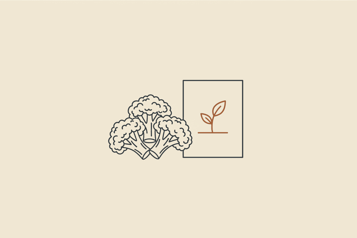 Illustration of a small pile of broccoli florets next to a seed packet
